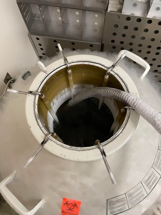 液氮容器 液氮容器